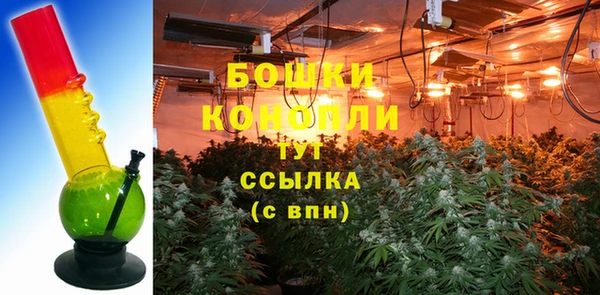 хмурый Липки