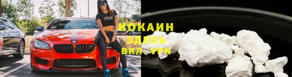 хмурый Липки