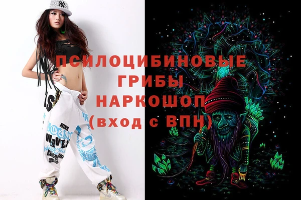 хмурый Липки