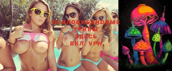хмурый Липки