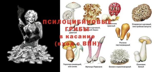 хмурый Липки